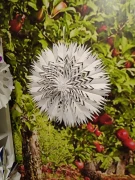 618d64d9 2c8f 49df 913d 44ab2493fa05