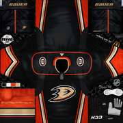 Ducks-Home-copy