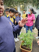 45cc73fb-dda9-45de-a0ca-9c9da9749253