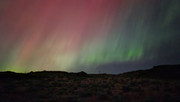 IMG-20240511-002956