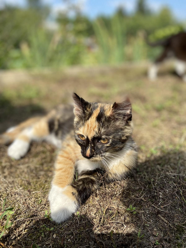 3C5A3A2E-0EC4-4F8A-9161-CCEC8ADD20C3