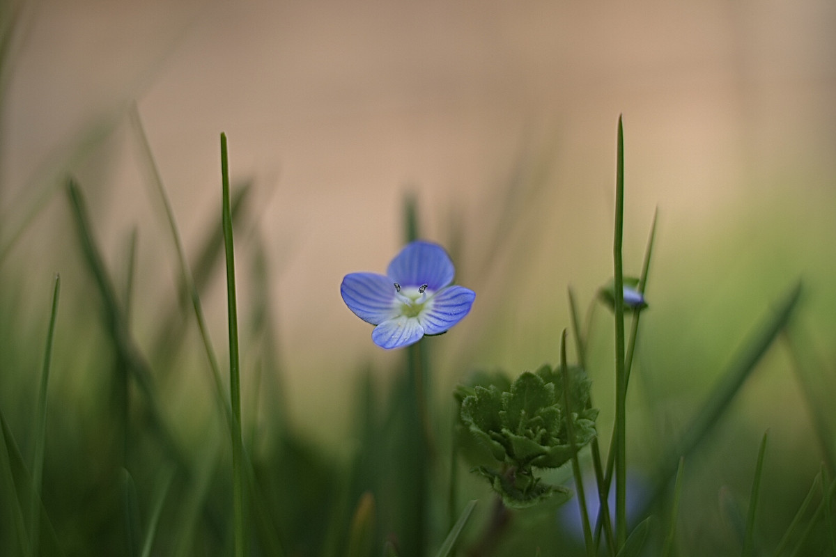 AF51DC89-9DAA-4CEE-84AB-9C4AE34B7BE2