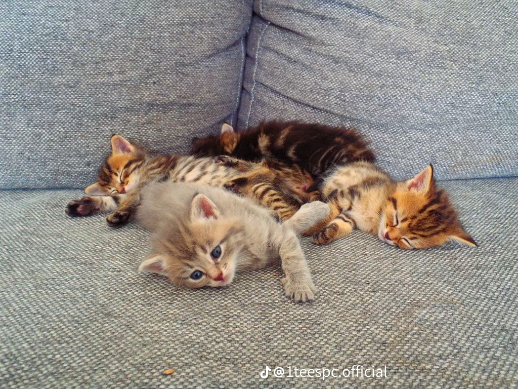 photo 34 2026 01 03 21 22 22