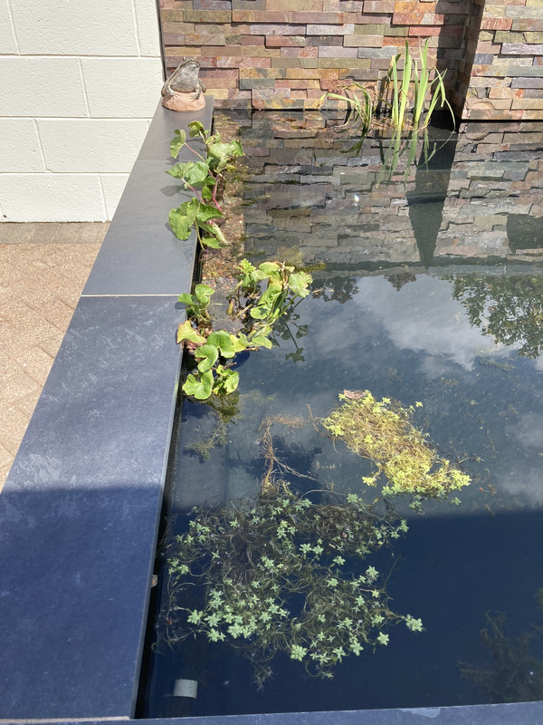 49837F10-4D87-4E85-A77E-AB8F23568212