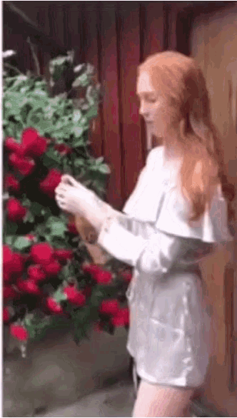 champagne-fail.gif