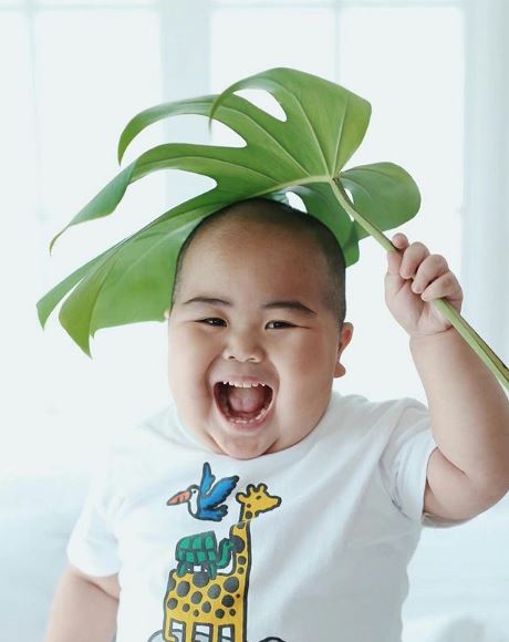 Tatan