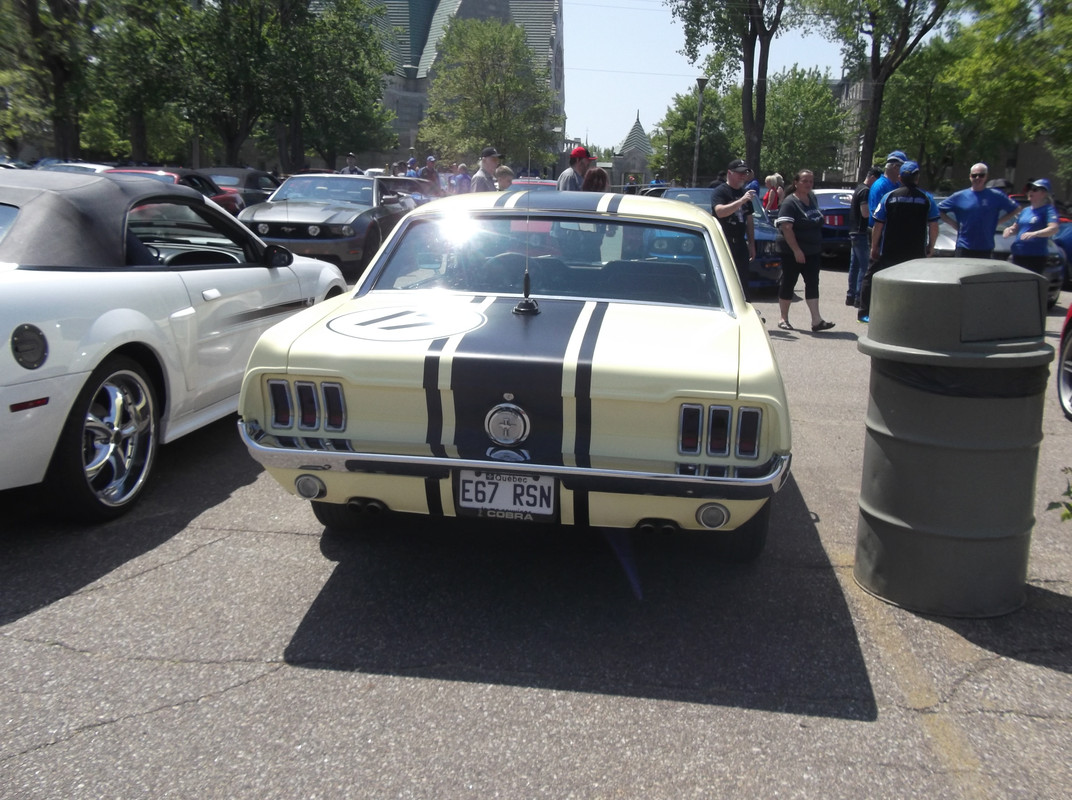 Activité 2023: Bénédiction des Mustang le 28 mai 2023 1967-jaune-4