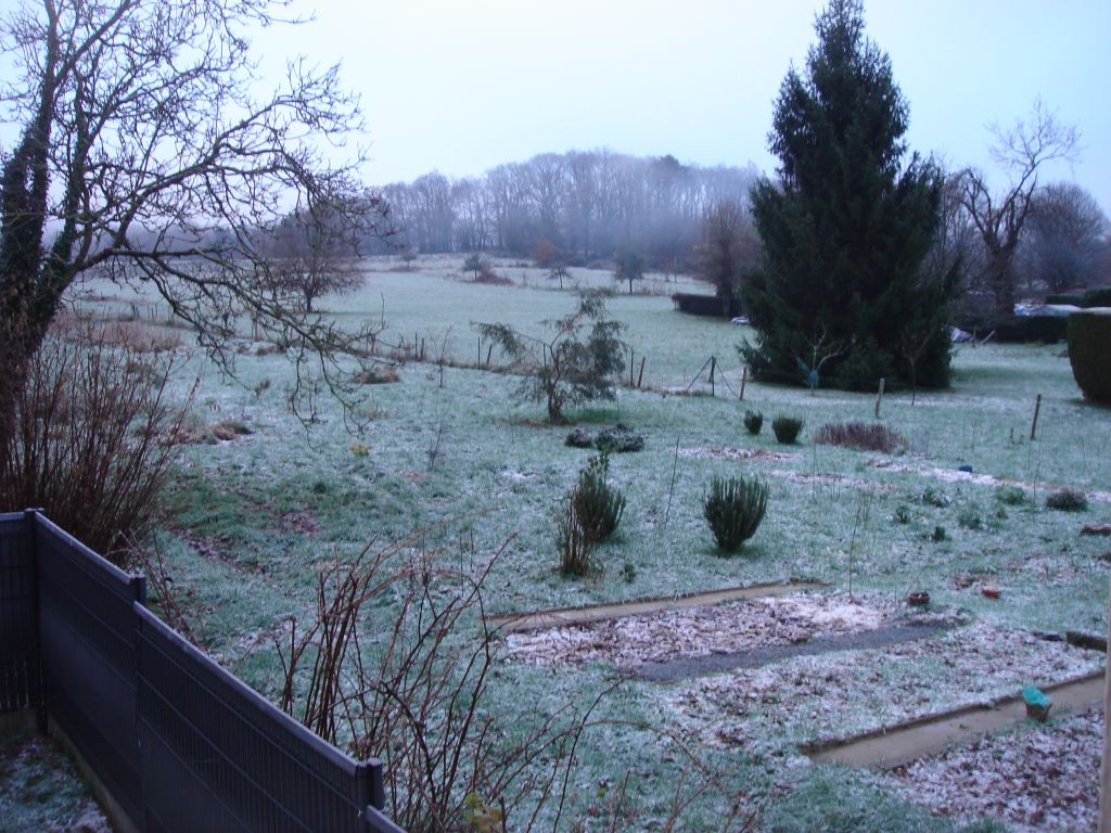neige20230118.jpg