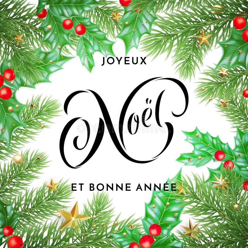 [Image: joyeux-noel-french-merry-christmas-bonne...eetin.webp]