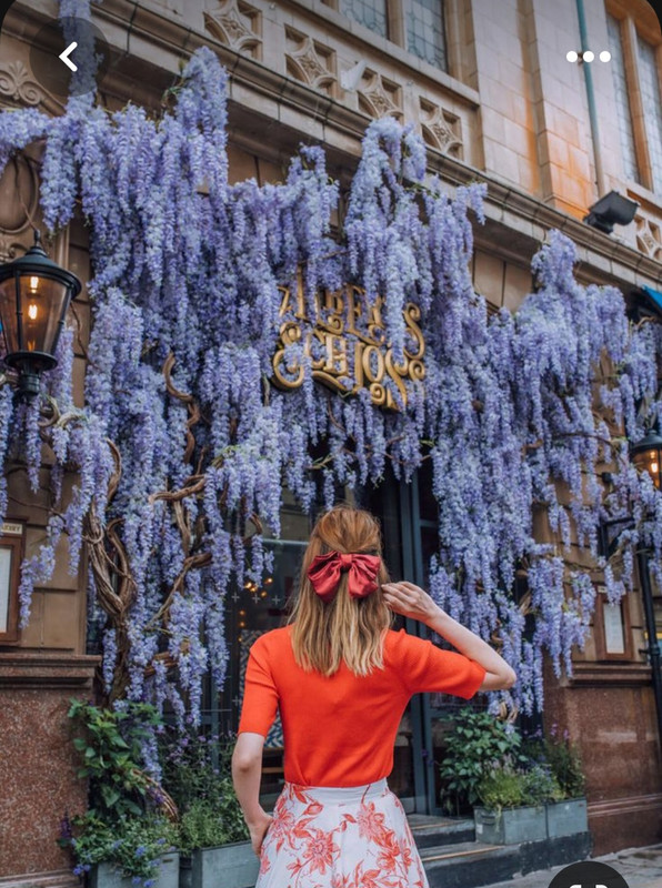 Screenshot_20230527_224105_Pinterest