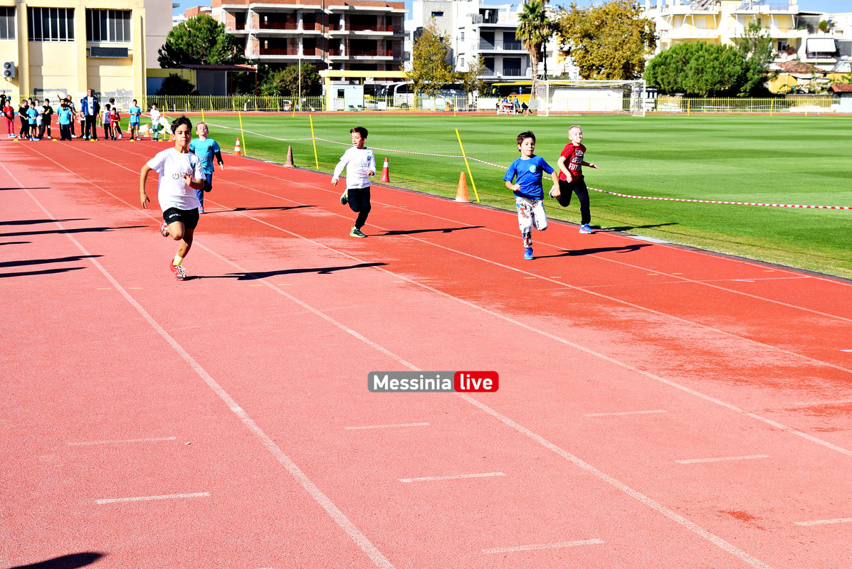AKRITAS-STIVOSDSC-0329