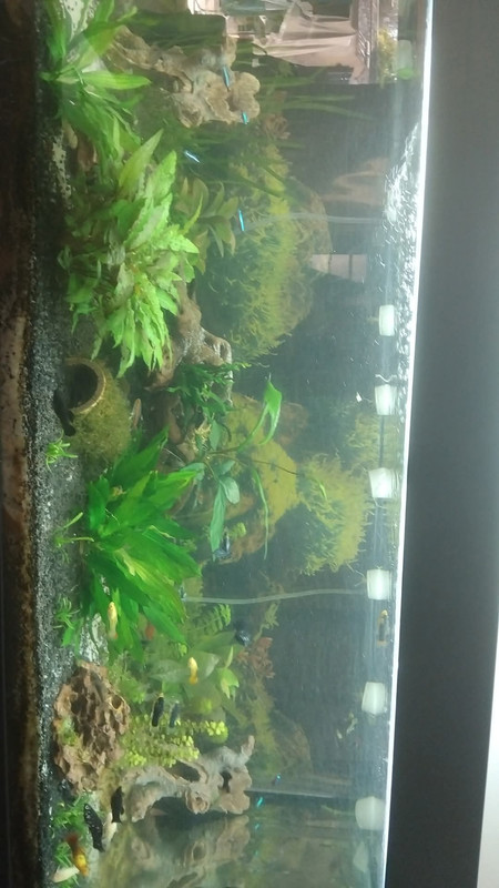 FB_IMG_1741508124524