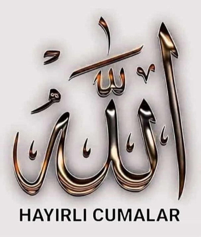 Whats App Image 2026 06 12 at 07 18 59