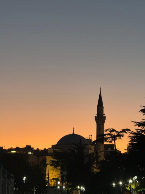 6 Aviones, 3 barcos y 2 trenes, empezando en Estambul y terminando Kuala Lump - Blogs de Indonesia - PRIMERA PARADA: ESTAMBUL (9)