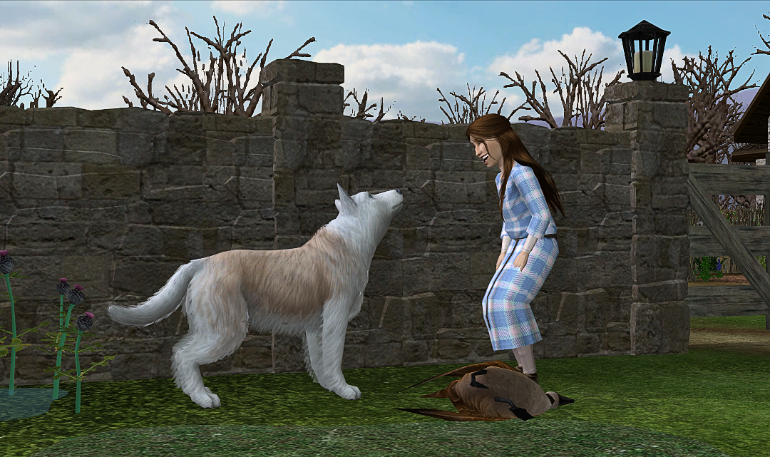 screenshot_2026_01_24_21_18_1