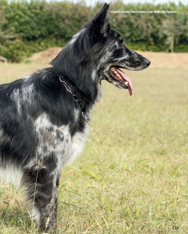 QuattroZampe Mar 2024 (10)