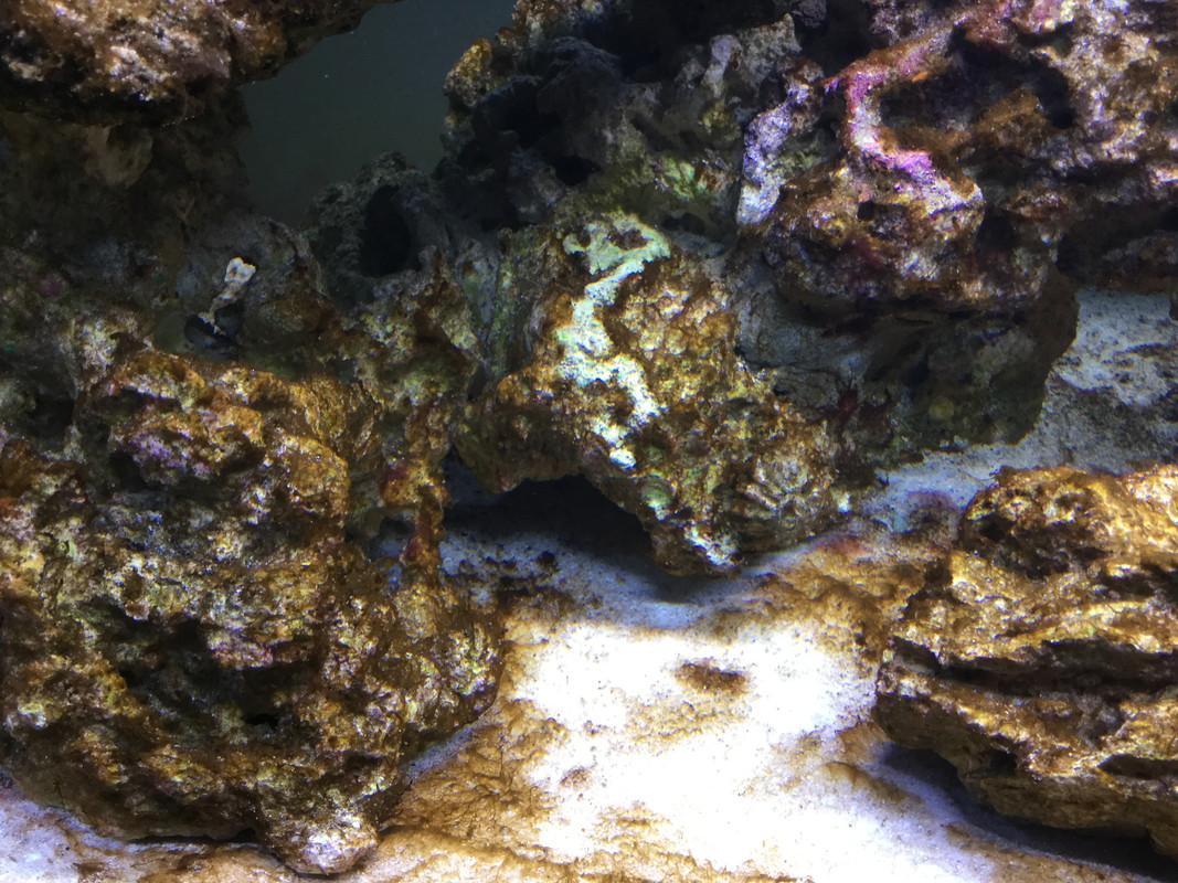 346DAF54-54C9-4FC8-998D-2E28C18861F7