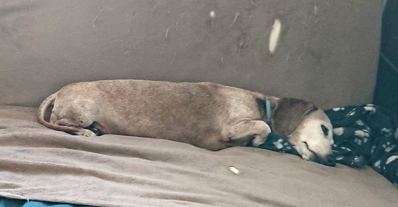 [Image: 20230918-130116.jpg]