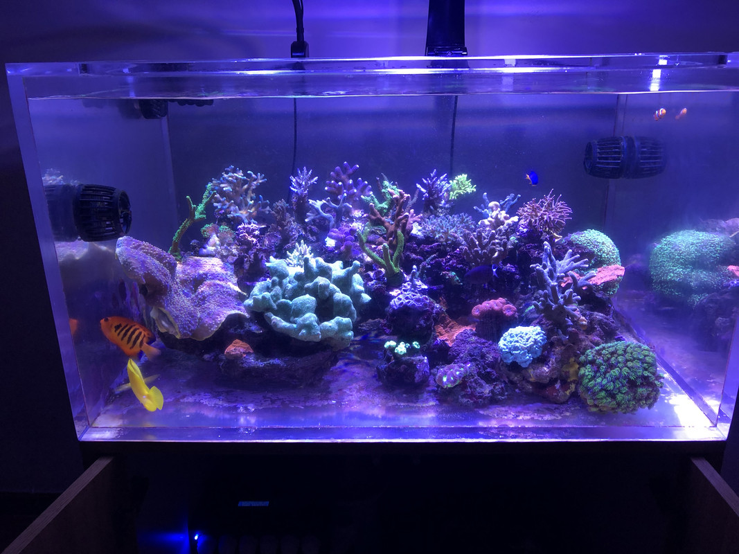 C88AD6E6-111D-4A04-B980-77AE950125E7