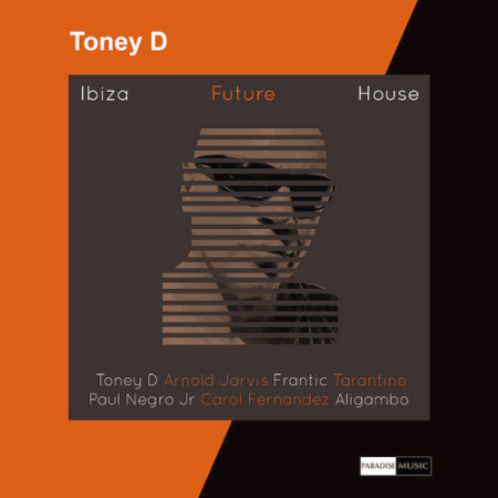 VA - Ibiza Future House (2020)