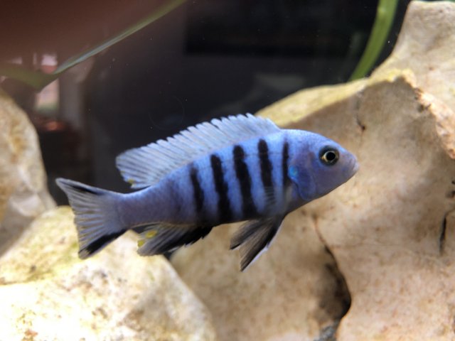 BEF95469-7711-4795-A83D-896F1AF5D91B