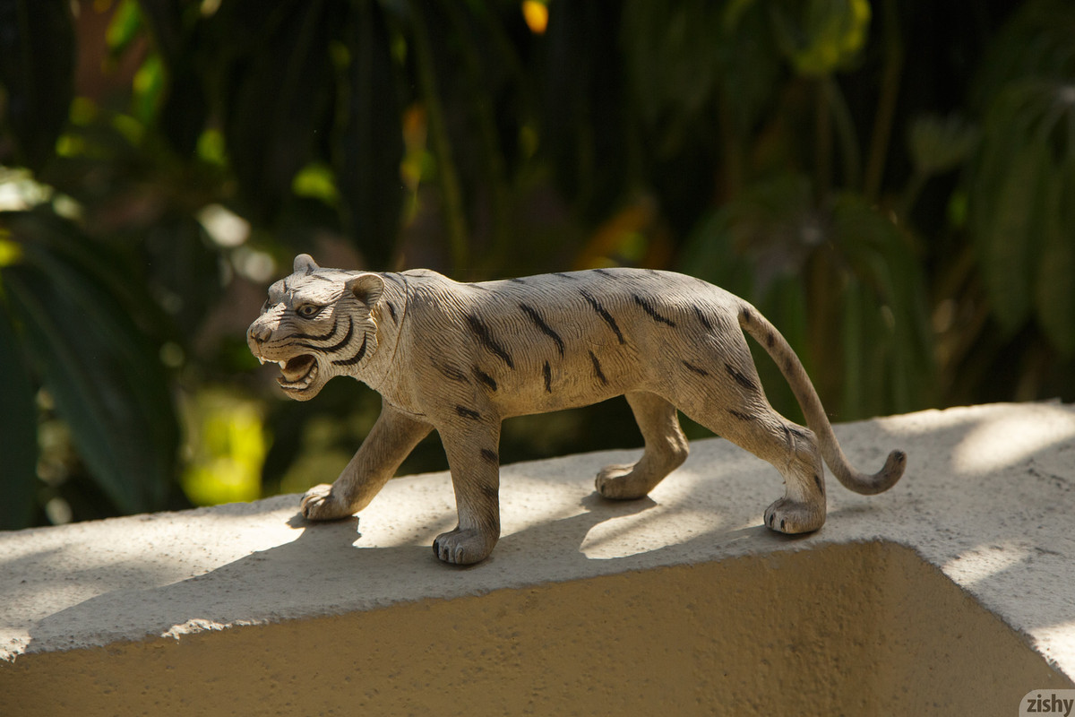 full_054_0637110831349907