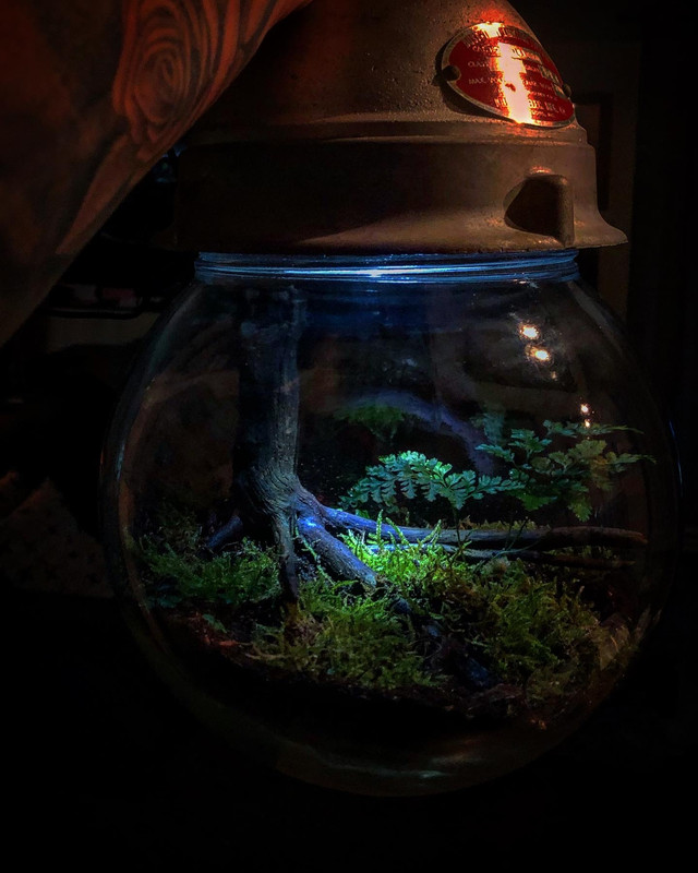 8B222203-6507-46FB-83D0-37DA4915E38C