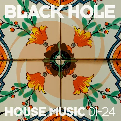 Black Hole House Music 01-24 (2024)