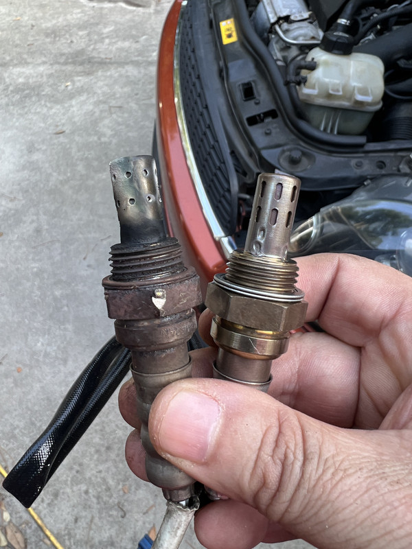 AEEF0F17-62E8-4802-80C9-B4F0DC356A9E