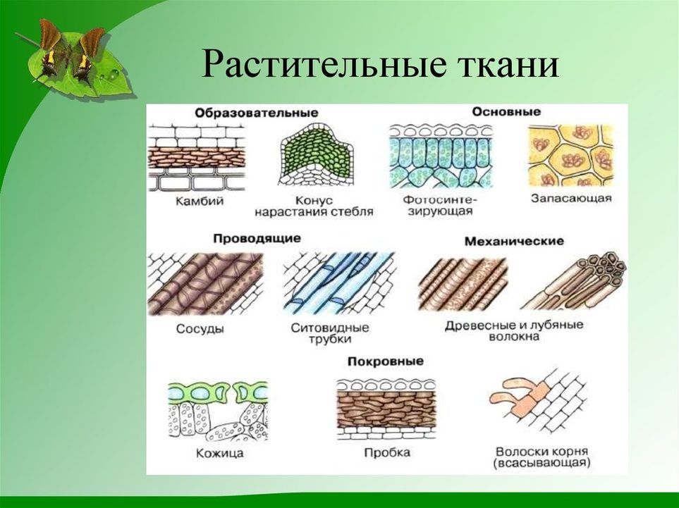 Какие ткани лучше всего сохранят тепло в теплице сравнительный анализ.