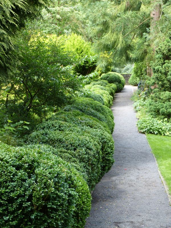 2014-07-13 Arboretum Härle 2