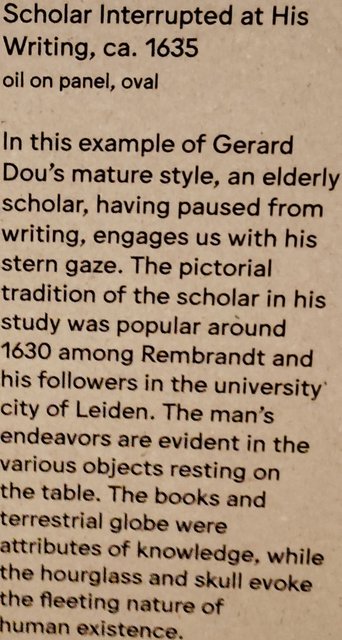 Escapada por Amsterdam - La Haya - Delft - Rotterdam - Leiden - Londres - Blogs de Europa - Museo Mauritshuis, decepcionante Depot Boijmans y callejeo por Delft y Leiden (220)