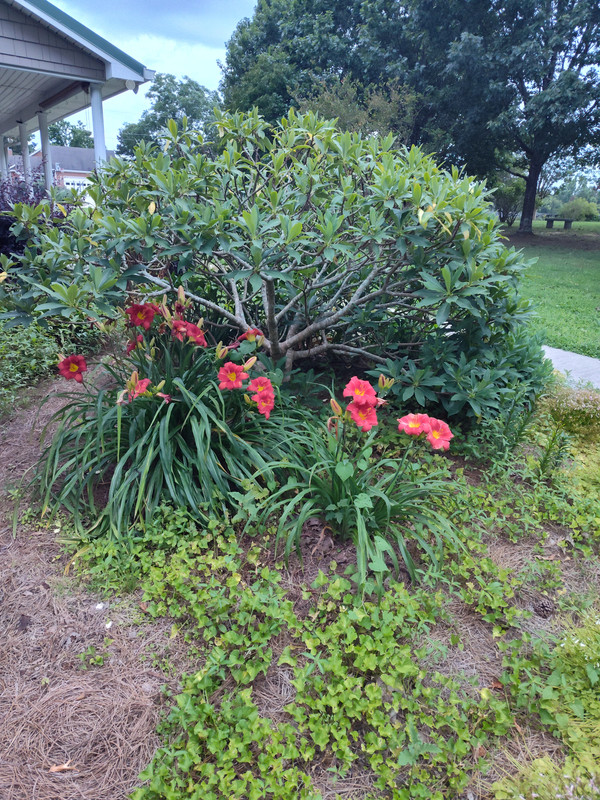IMG_20250612_203447767_HDR
