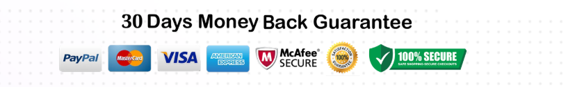 Secure Payment Badges