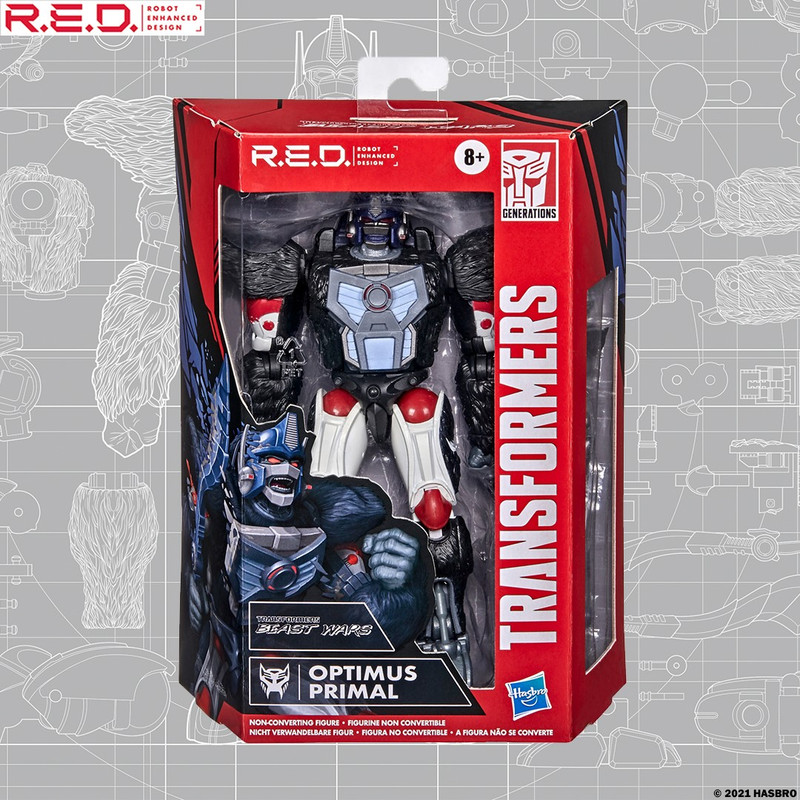 223339600_4624522897580615_8922125975167436722_n