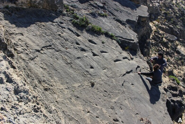 Neandertaler Fußspuren auf Klippe