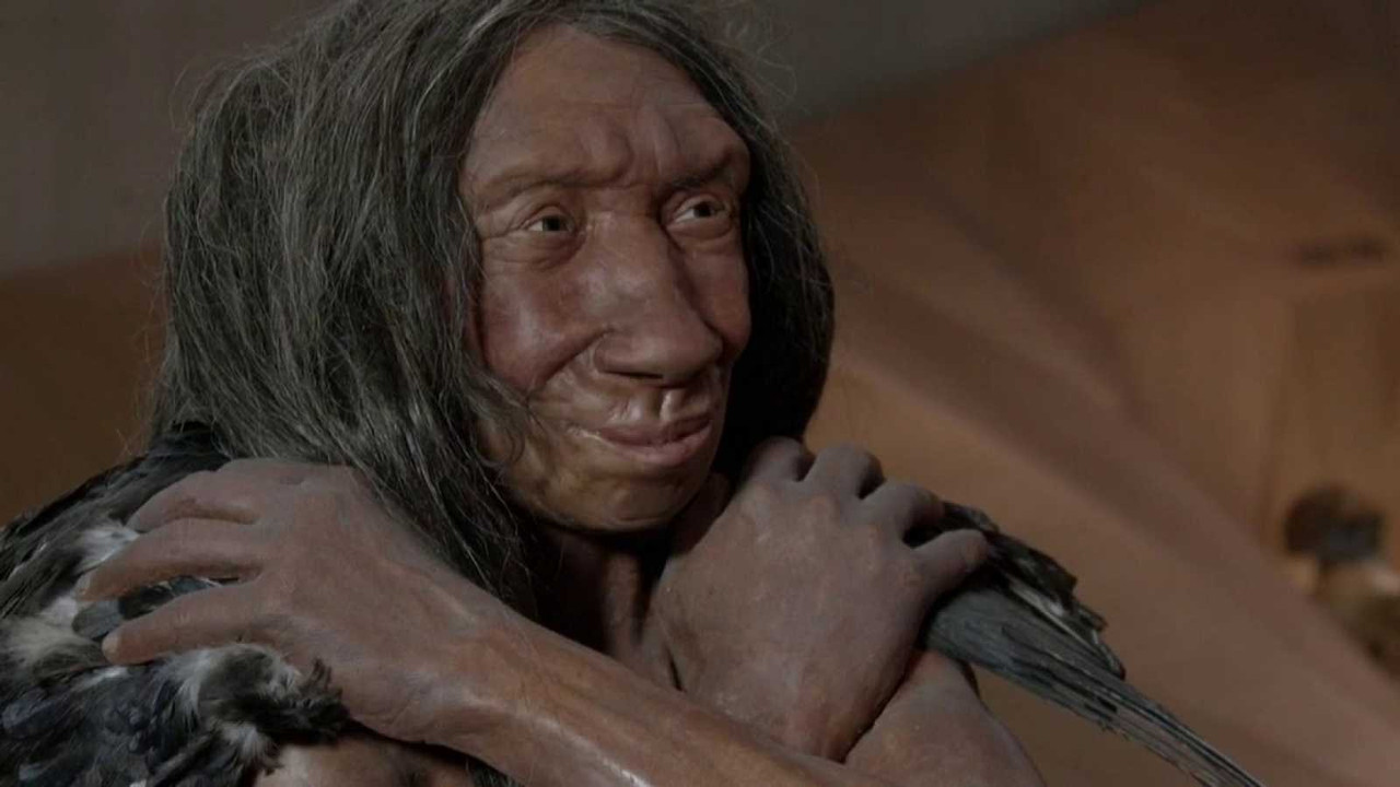 5220218 w 1600 preview 1558119125140 - Arqueomanía: Neandertales, la otra humanidad