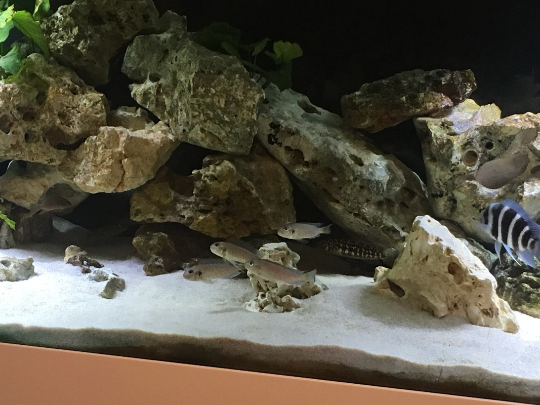 08E36D64-4301-4B3F-8972-17578C70C92D