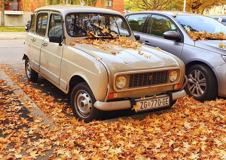 123266573_396902104688396_6929313640972420367_n