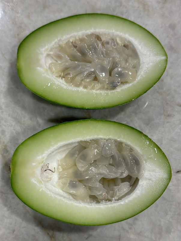 6F730B08-43A1-46F4-8AFC-35922FA4D2FD_1_102_o