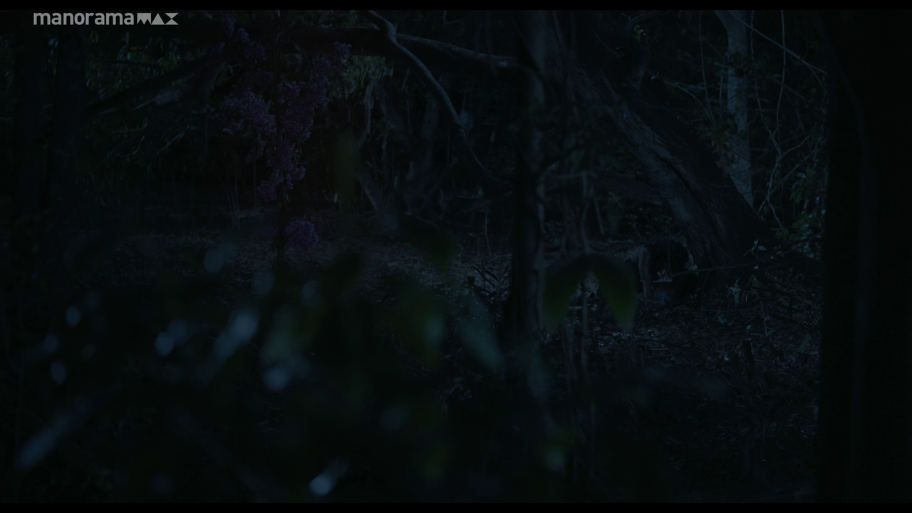 vlcsnap 2026 02 25 12h53m57s463