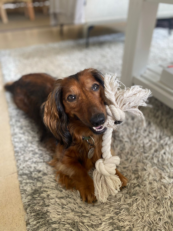 [Image: IMG-20240805-WA0015.jpg]