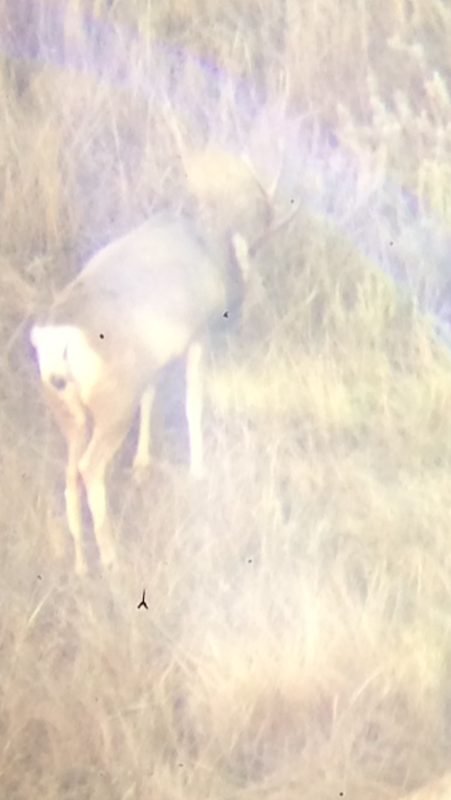 66122FDD-7EE8-40C0-BE4F-C4703854EC2C