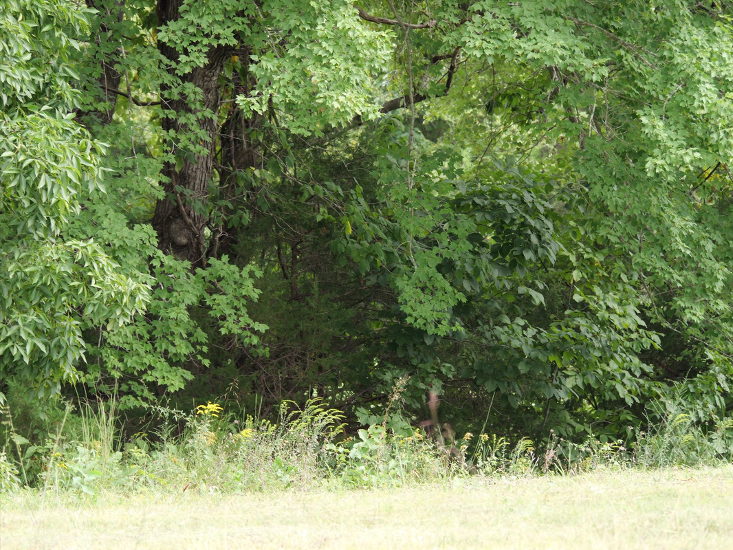P1015159.jpg
