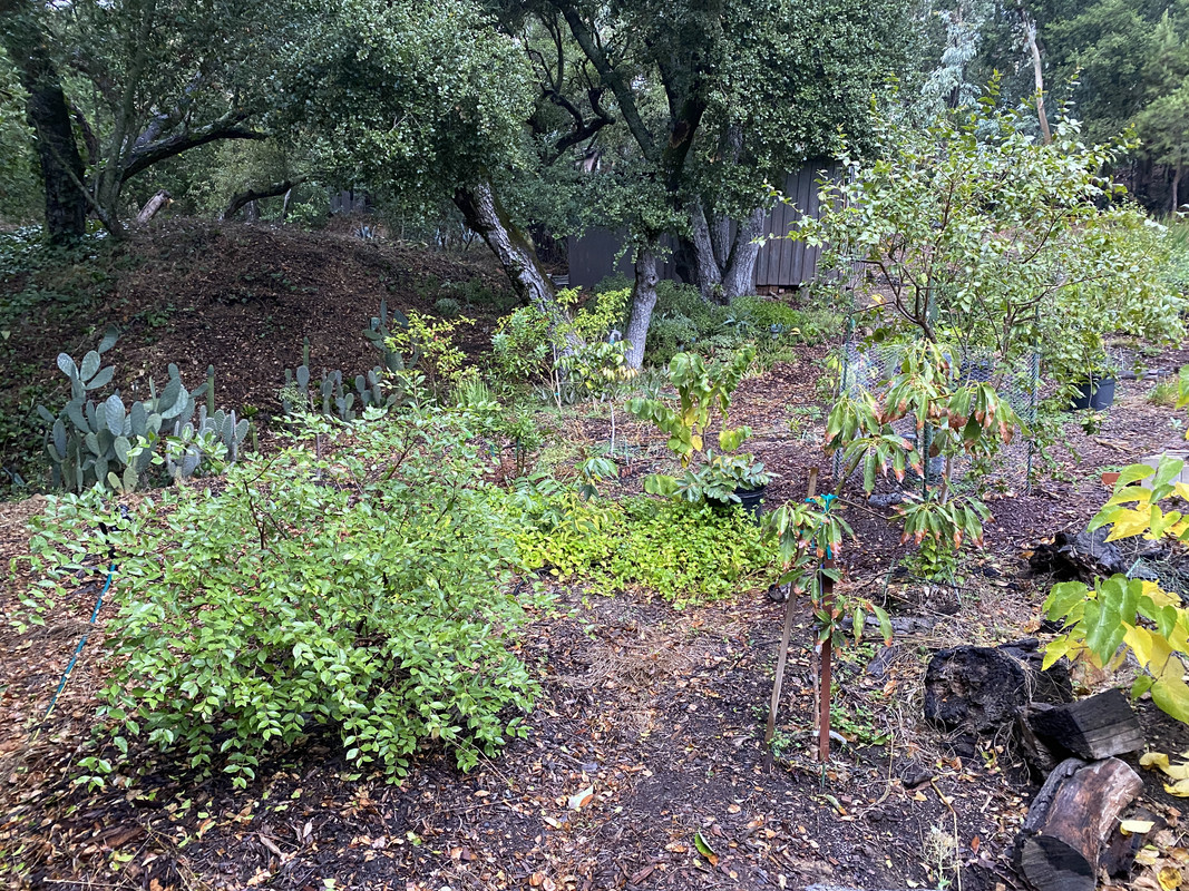 D89B9079-A006-40BB-9E46-CA3687998075