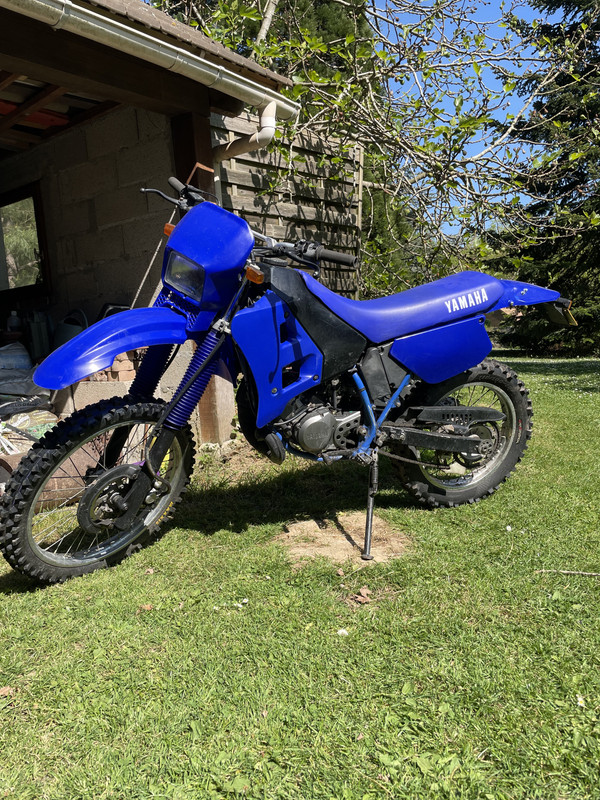 4056D98A-3701-434B-82F7-DADCC9AD8E05