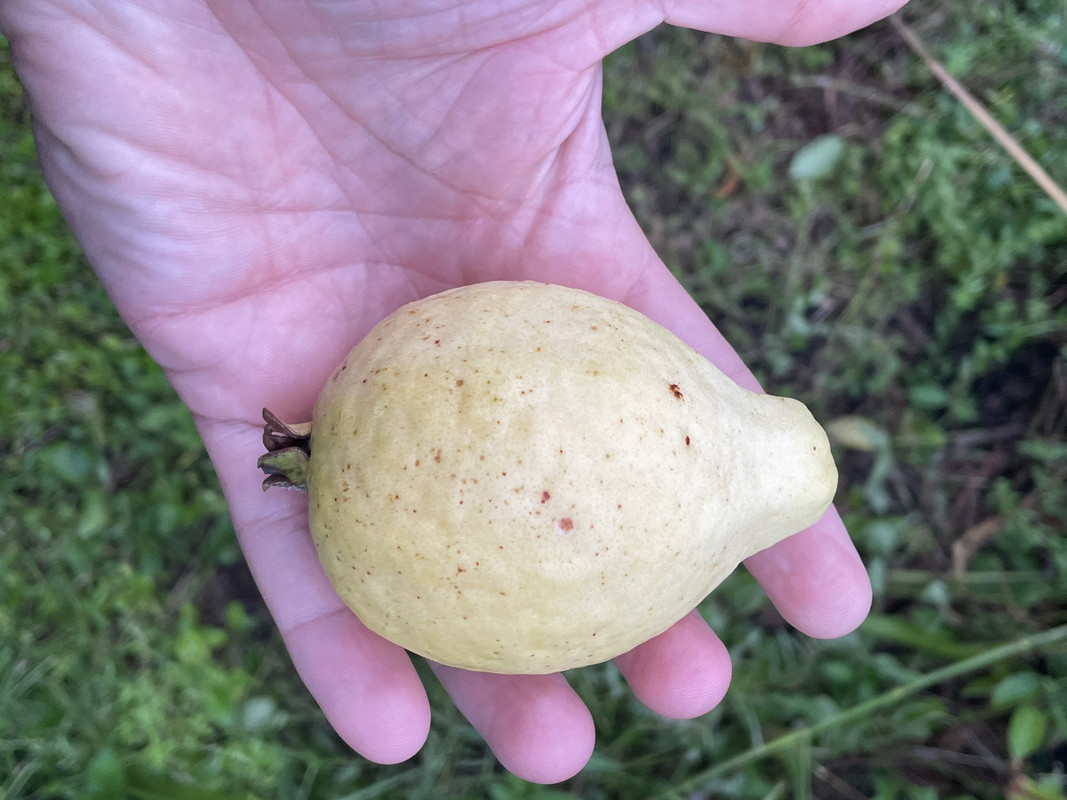 6224254B-F1A9-456F-AAC3-6241CEC3CF9A