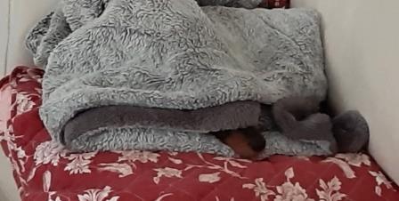 [Image: 05-2021-3-web.jpg]