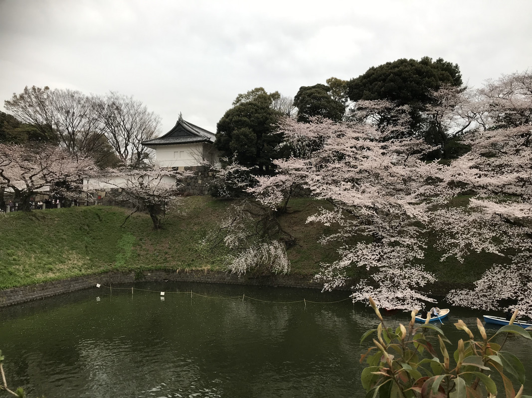 D66EB3AE-8046-4E19-B683-04FF4F2F1E20