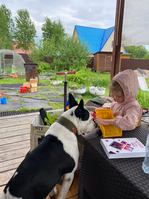 BE25A1F8-C211-4A72-82F4-180D763BAFBE